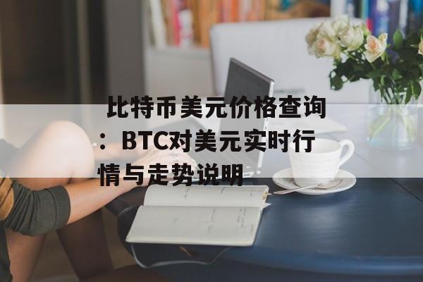  比特币美元价格查询：BTC对美元实时行情与走势说明