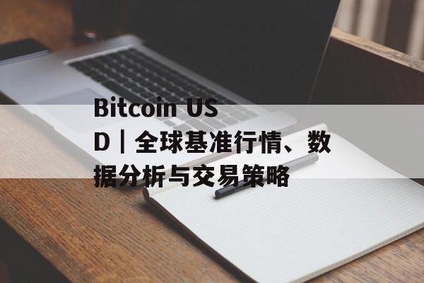 Bitcoin USD|全球基准行情、数据分析与交易策略
