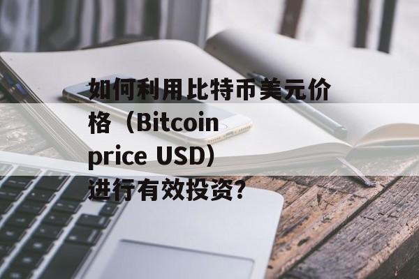 如何利用比特币美元价格(Bitcoin price USD)进行有效投资?