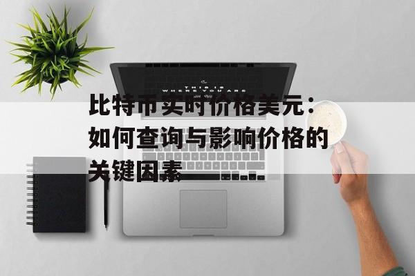比特币实时价格美元：如何查询与影响价格的关键因素